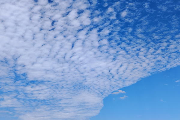 西安動畫設(shè)計公司怎樣在展會上吸引顧客